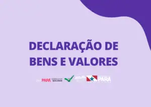 Declaração de bens e valores